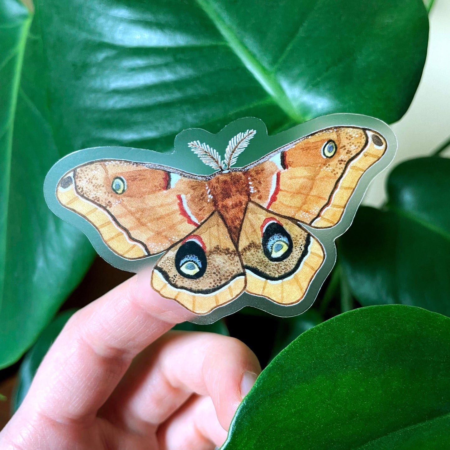 Polyphemus Moth - Clear Waterproof Sticker