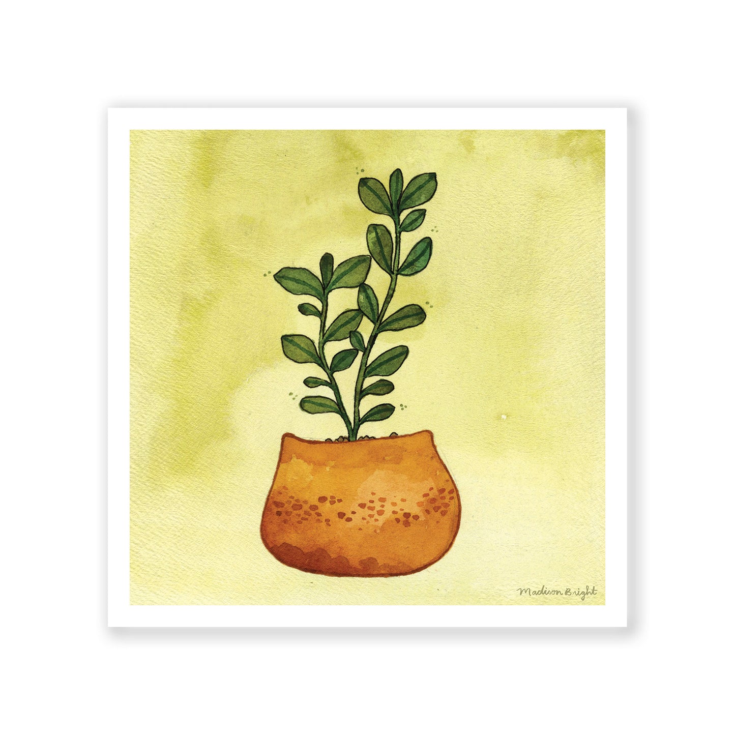 Growing Houseplant - Art Print