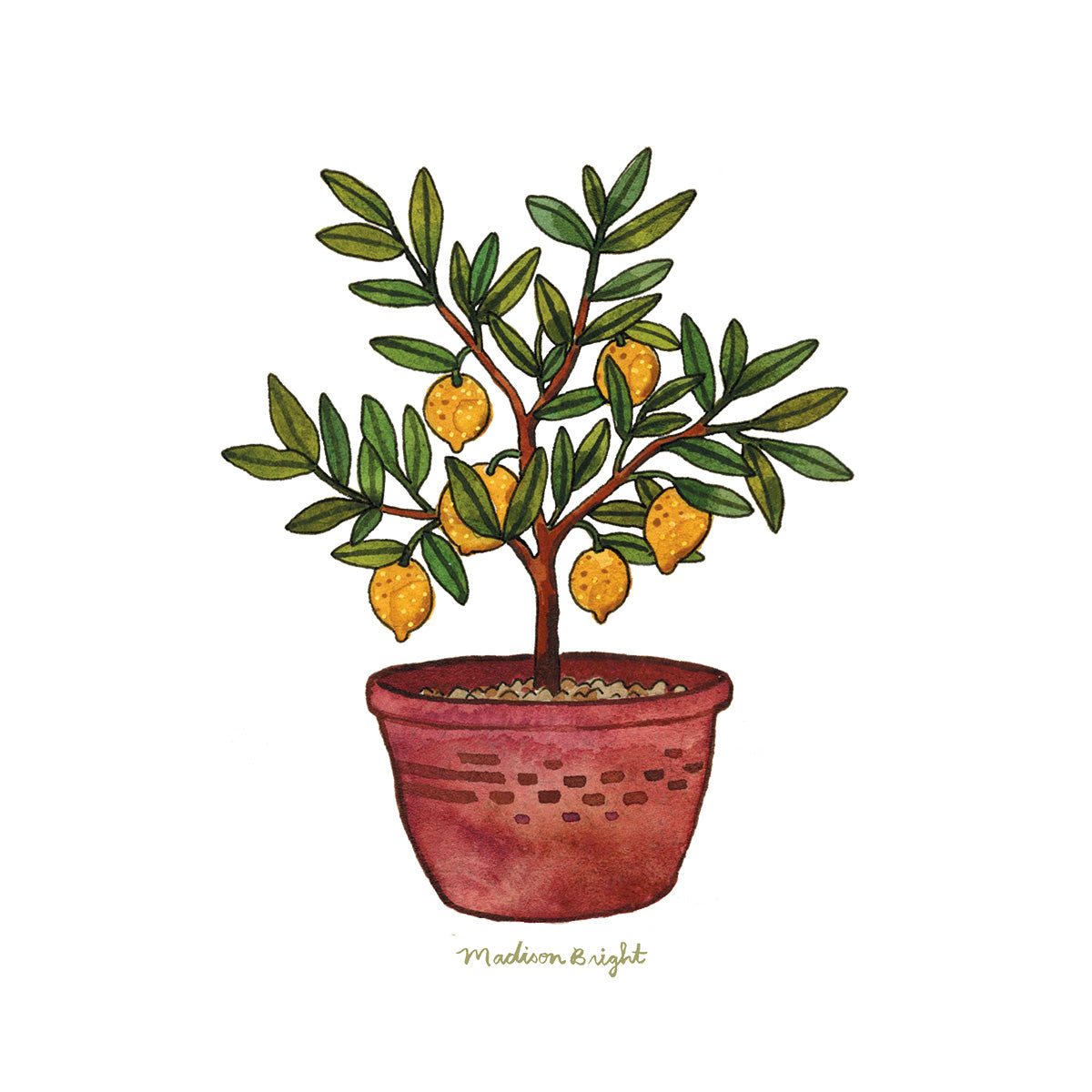 Little Lemon Tree - Clear Waterproof Sticker