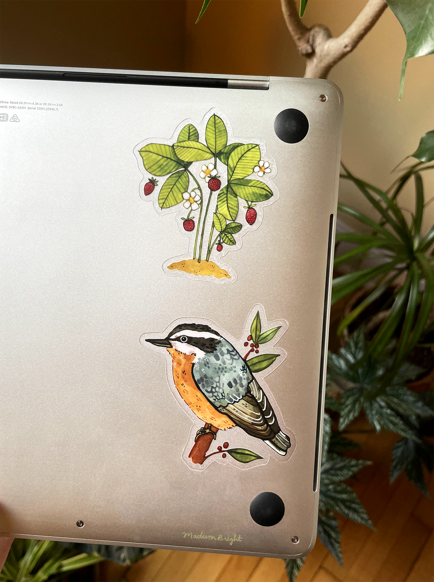 Wild Strawberries - Clear Waterproof Sticker