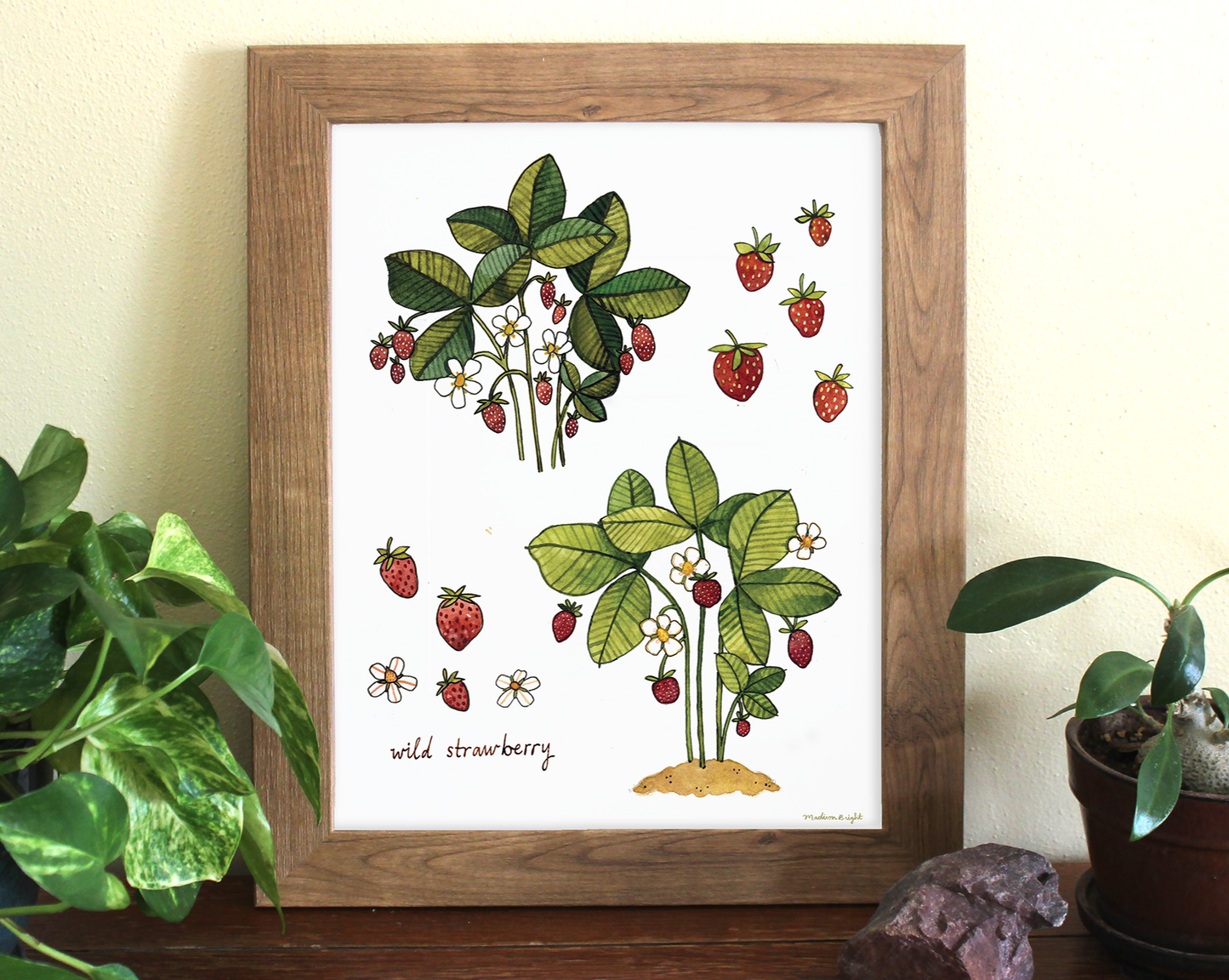 Wild Strawberry Study - Art Print