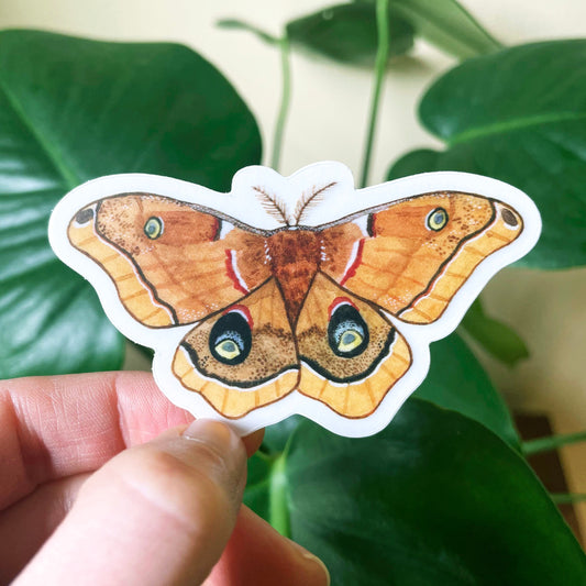 Polyphemus Moth - Clear Waterproof Sticker