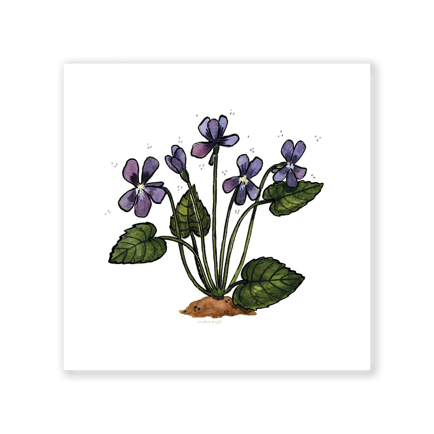 Wood Violets - Art Print