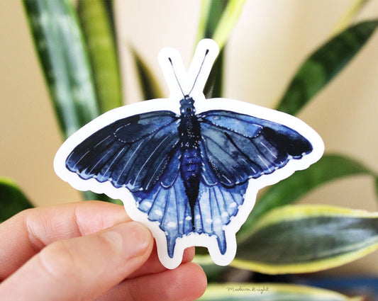 Pipevine Swallowtail Butterfly - Clear Waterproof Sticker