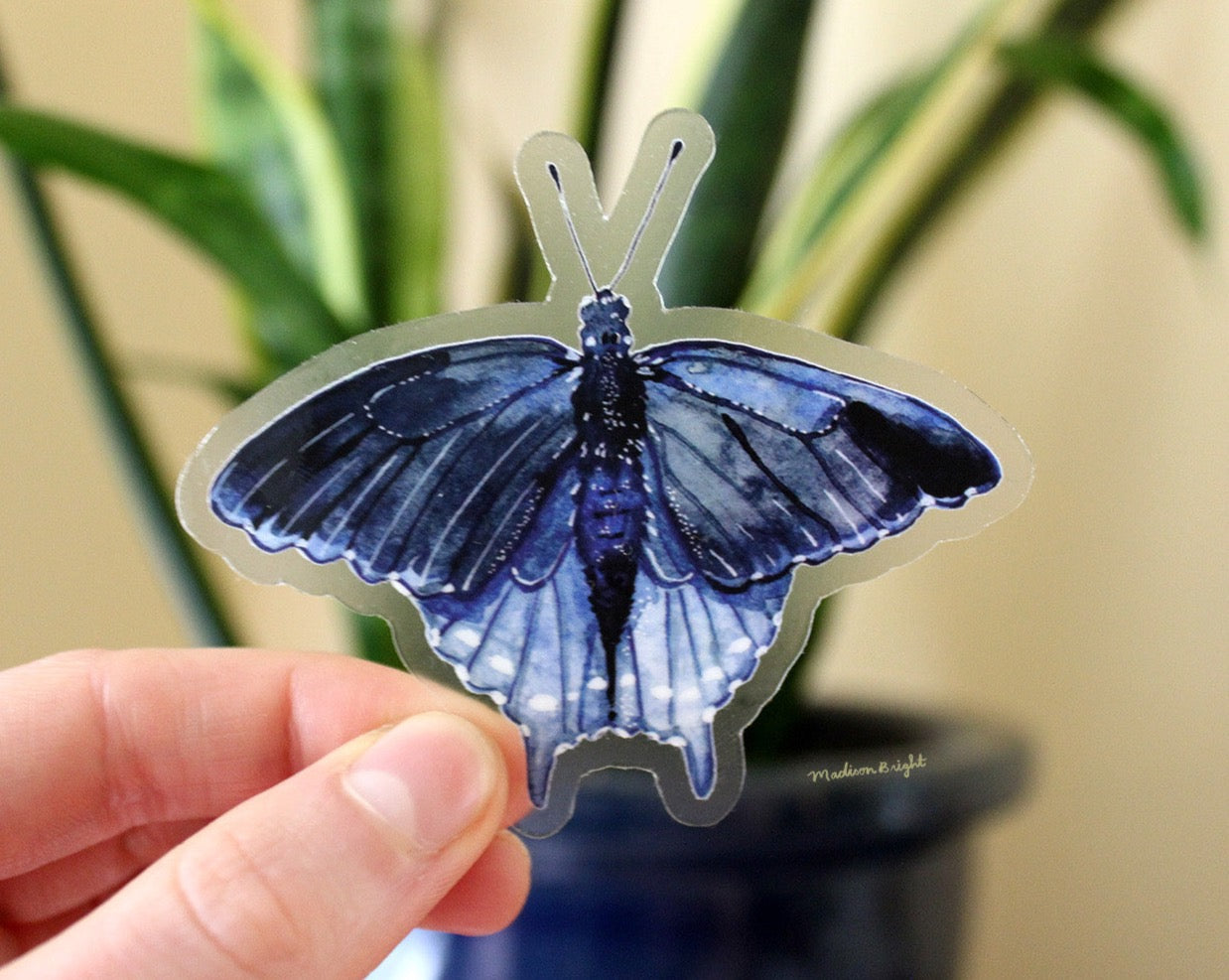 Pipevine Swallowtail Butterfly - Clear Waterproof Sticker