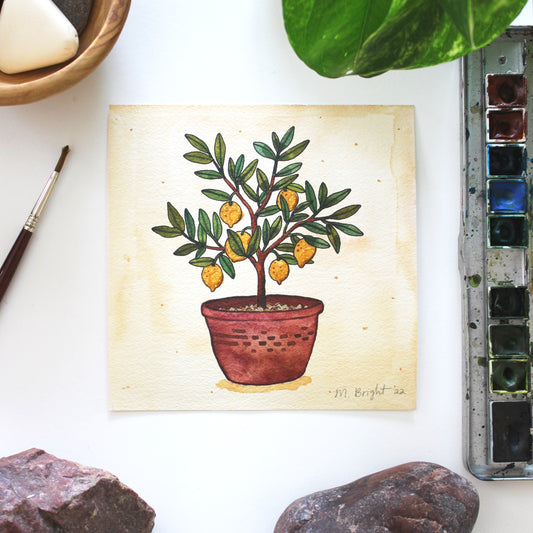 Little Lemon Tree - Original Painting