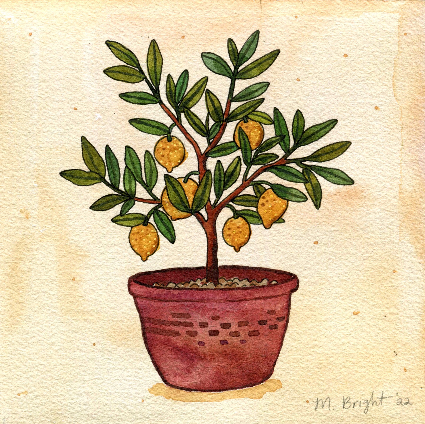 Little Lemon Tree - Original Painting