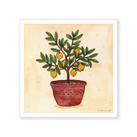 Little Lemon Tree - Art Print