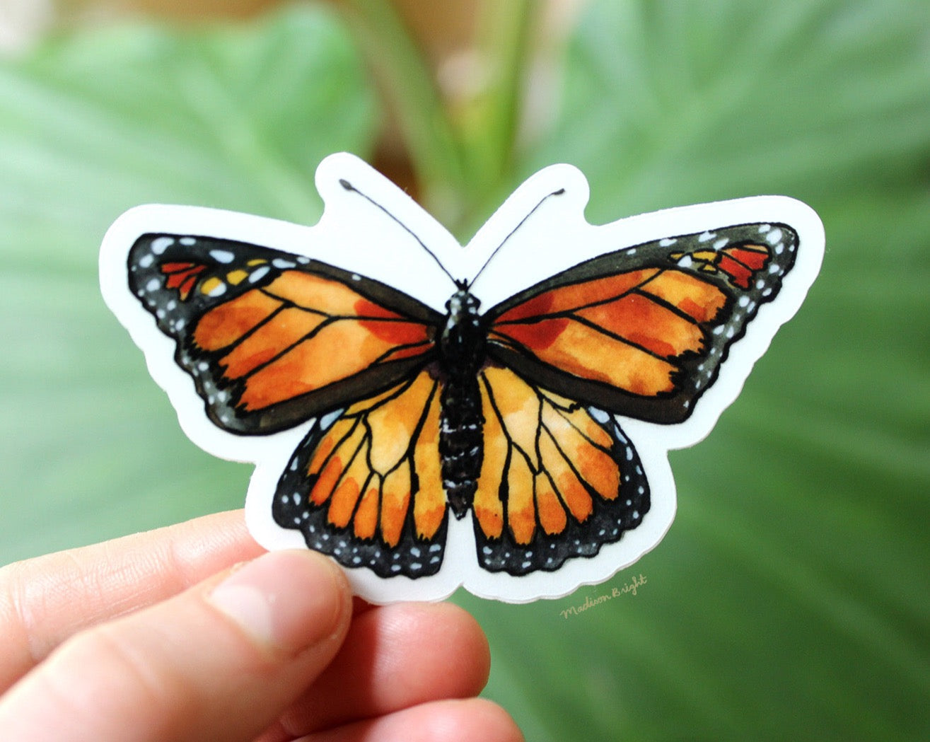 Monarch Butterfly - Clear Waterproof Sticker