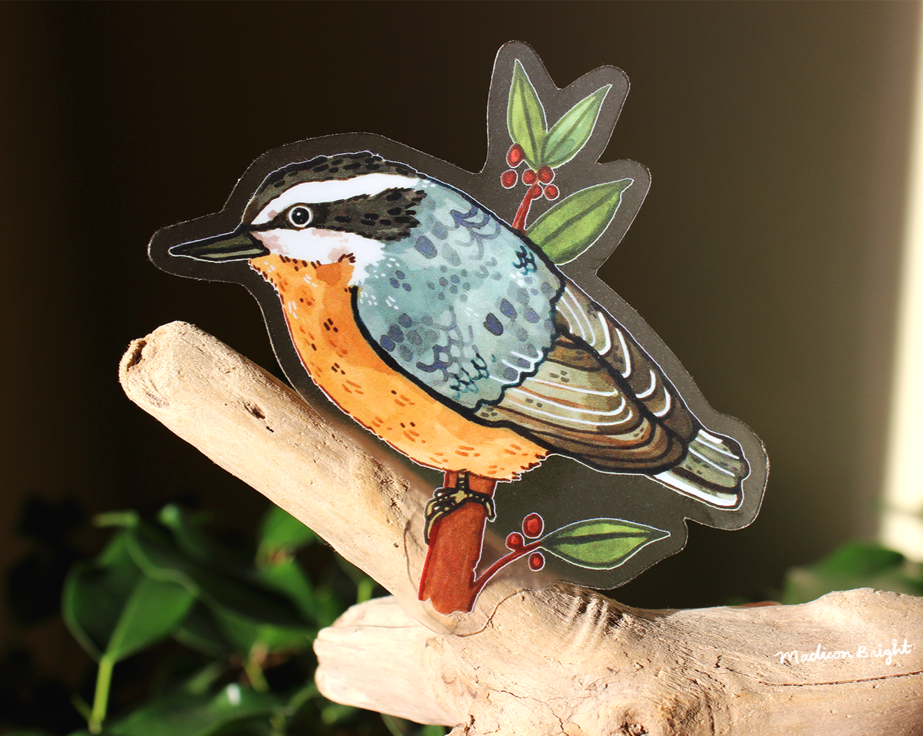 Red-Breasted Nuthatch - Clear Waterproof Sticker