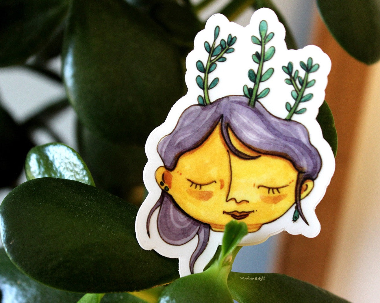 Plant Lady - Clear Waterproof Sticker