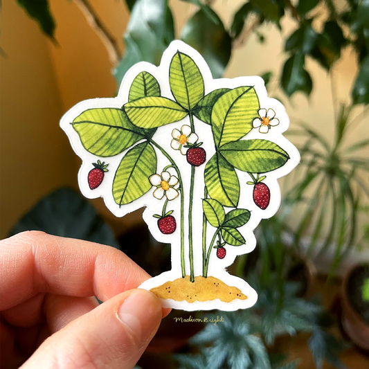 Wild Strawberries - Clear Waterproof Sticker