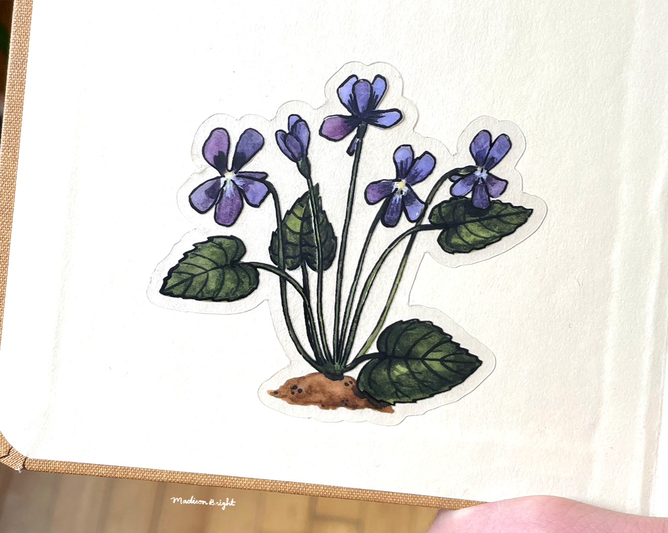 Common Blue Violets - Clear Waterproof Sticker