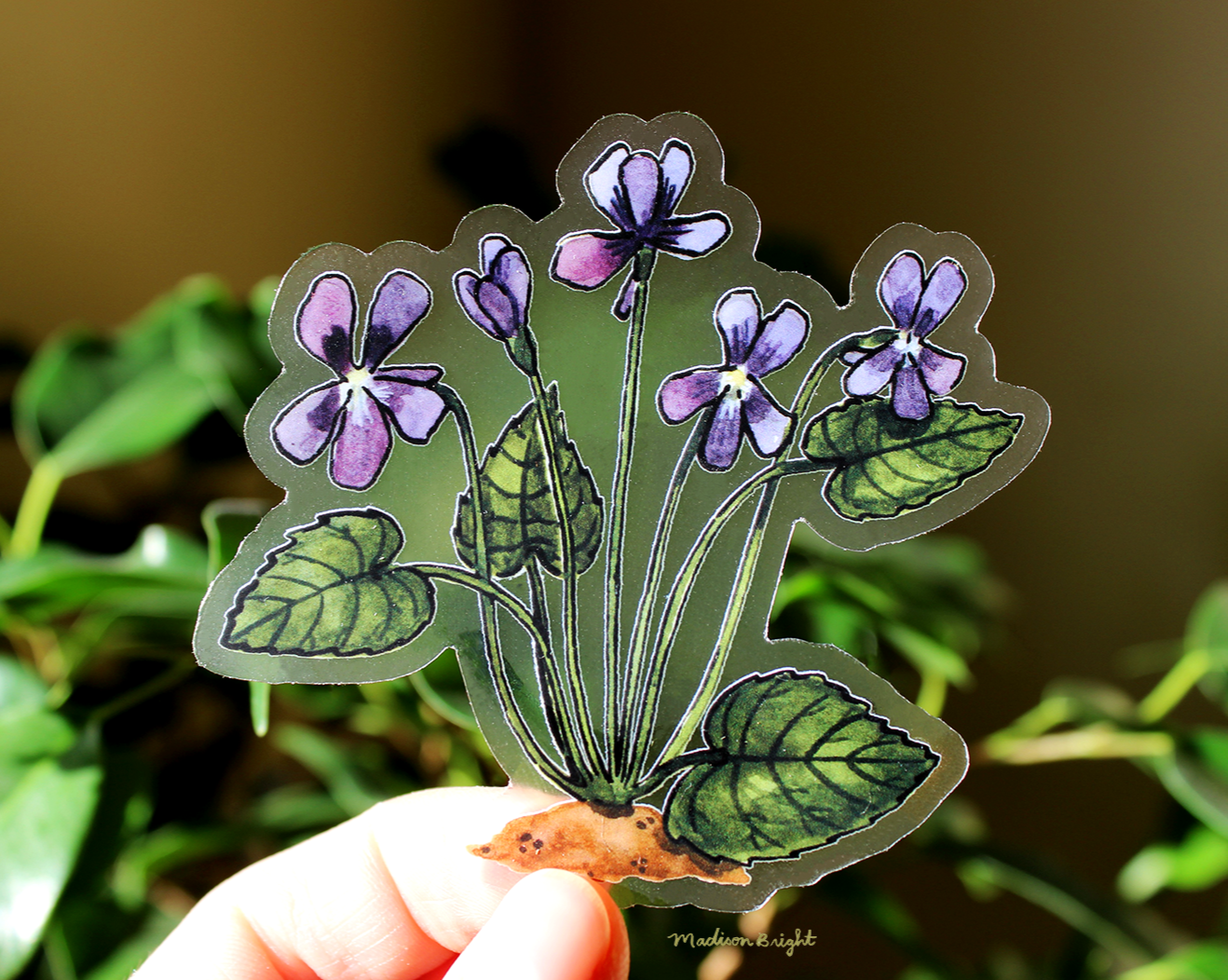 Common Blue Violets - Clear Waterproof Sticker